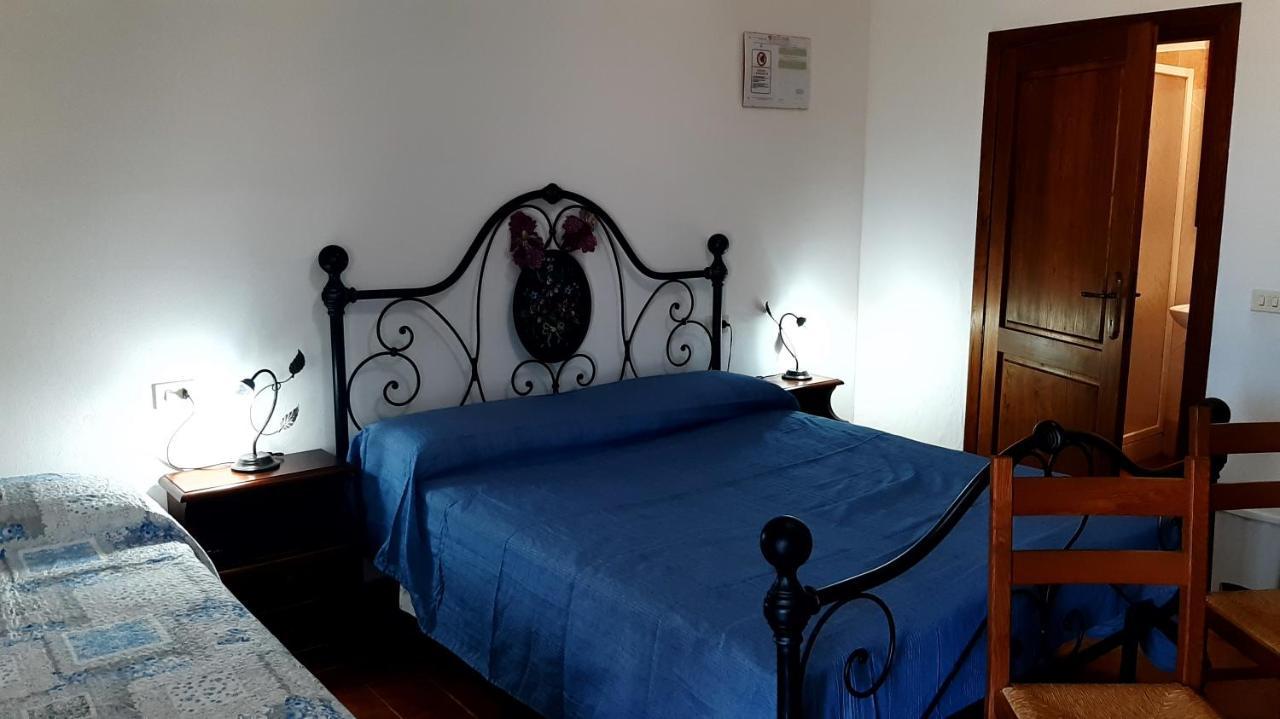 Agriturismo Uliveto Gretacci モンテメラノ エクステリア 写真