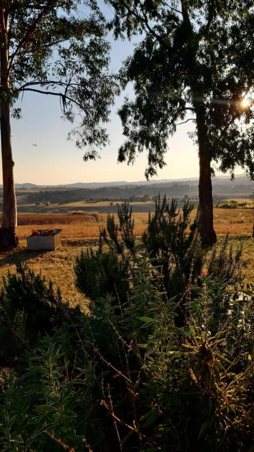 Agriturismo Uliveto Gretacci モンテメラノ エクステリア 写真