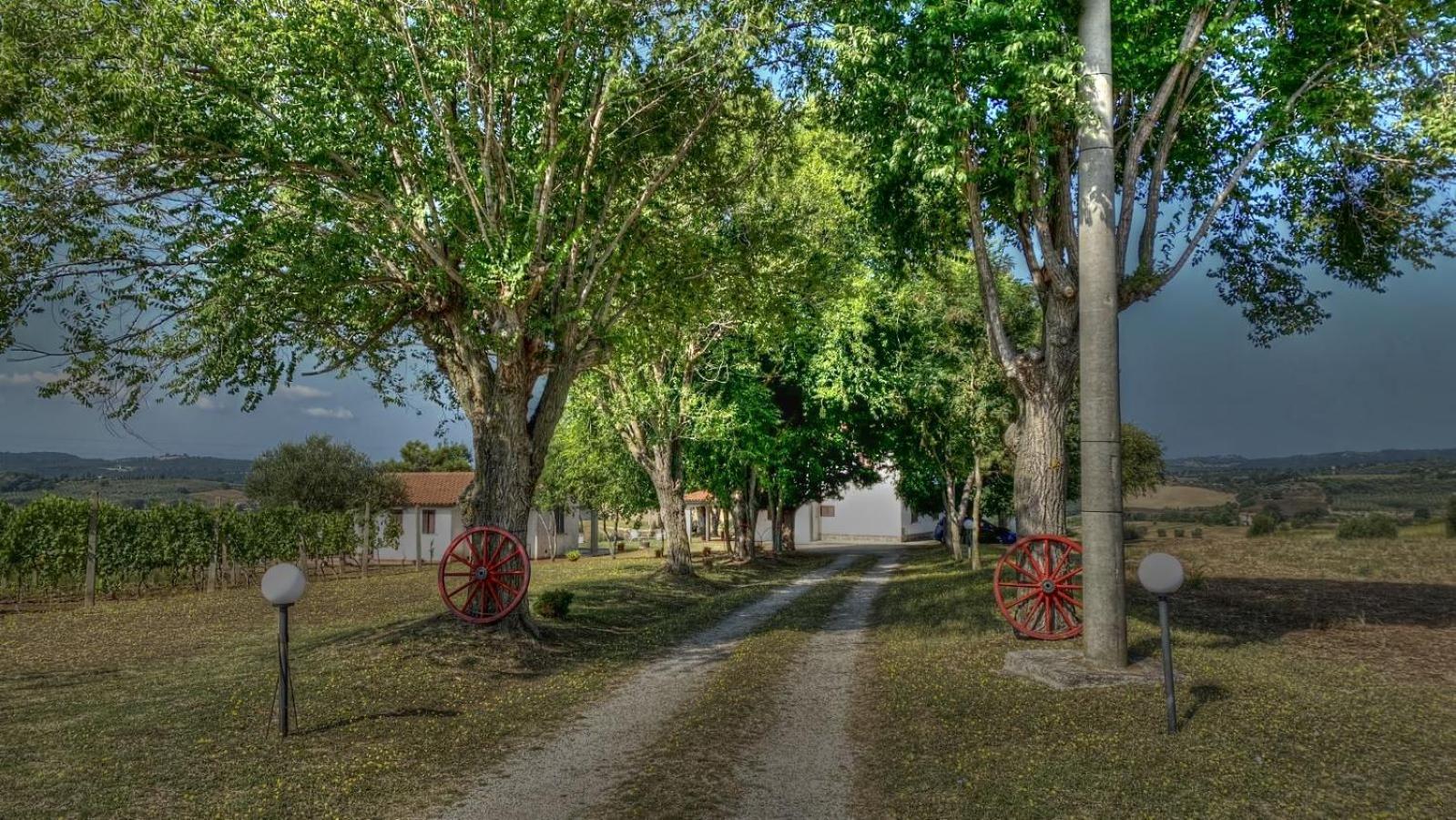 Agriturismo Uliveto Gretacci モンテメラノ エクステリア 写真