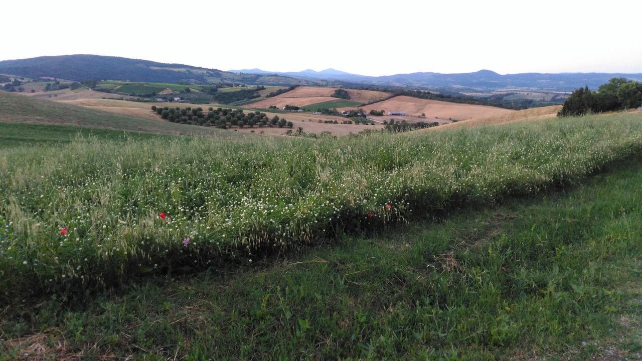 Agriturismo Uliveto Gretacci モンテメラノ エクステリア 写真