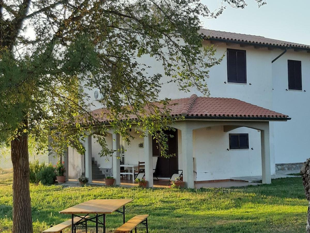 Agriturismo Uliveto Gretacci モンテメラノ エクステリア 写真