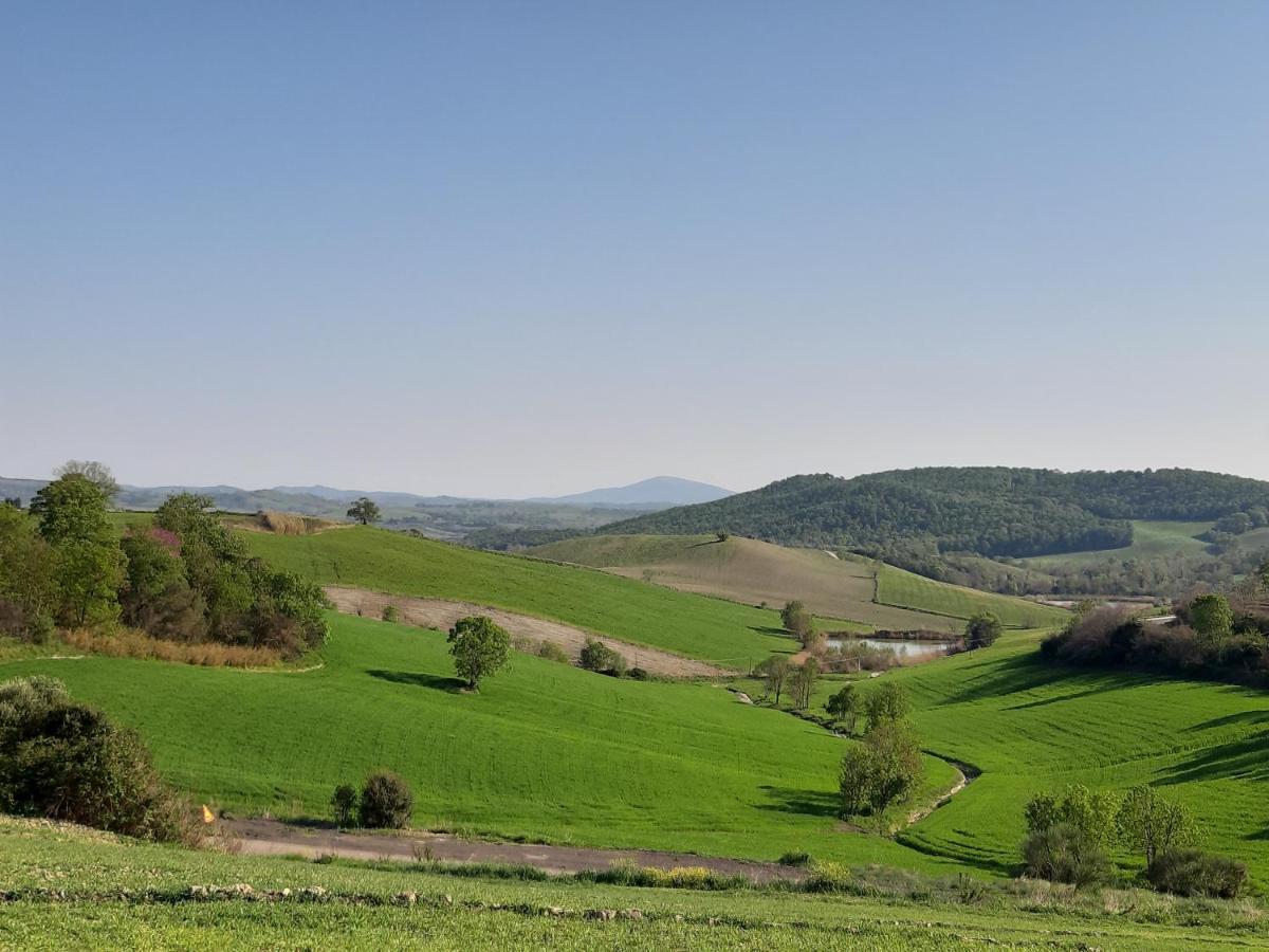 Agriturismo Uliveto Gretacci モンテメラノ エクステリア 写真