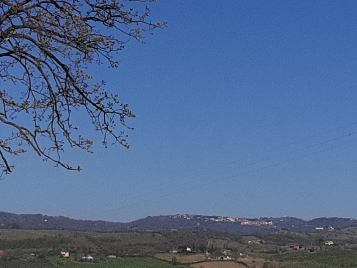 Agriturismo Uliveto Gretacci モンテメラノ エクステリア 写真