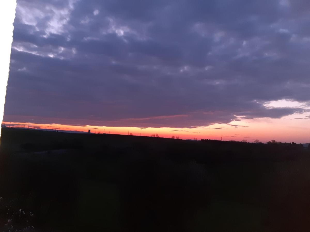 Agriturismo Uliveto Gretacci モンテメラノ エクステリア 写真